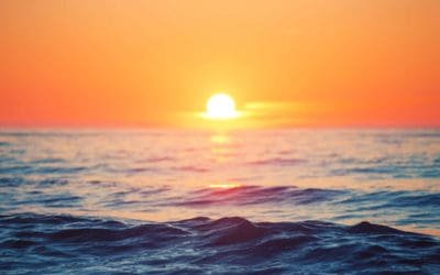 (Retirement Log) A Message From the Future