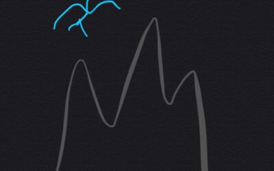 Mountains, Man. Wiiiiiiild.