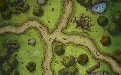 Field Research Journal Entry 2: Crossroad Recon