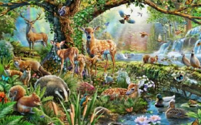 Field Research Journal Entry 11: Eggcellent Safari