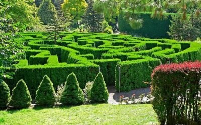 Field Research Journal Entry 22: Story Book Land part 2