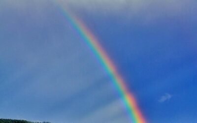 Field Research Journal Entry 19: Emerald Isle at the End of the Rainbow