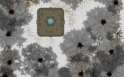 Field Research Journal Entry 24: ZHT Portal Exploration